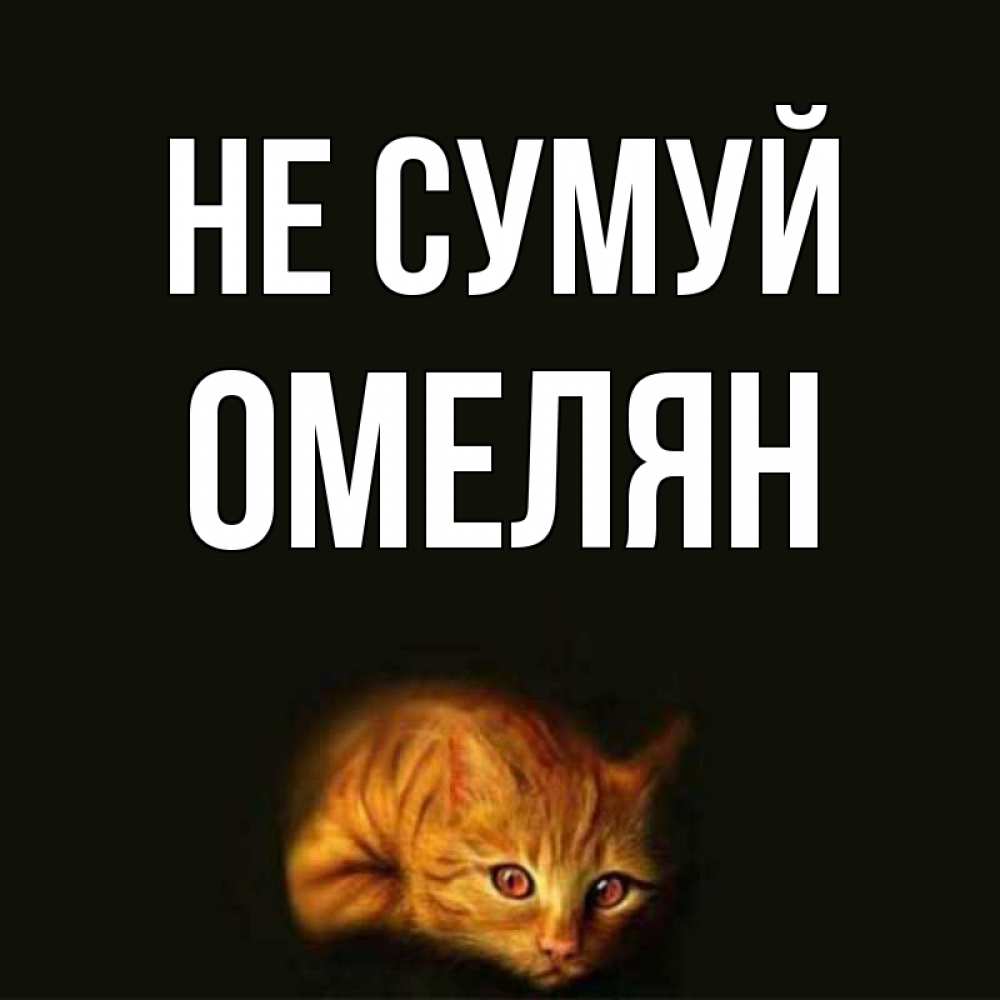 Открытка на каждый день з підписом, Омелян Не сумуй лежащий кот в темноте Прикольна листівка з побажанням онлайн скачати безкоштовно 
