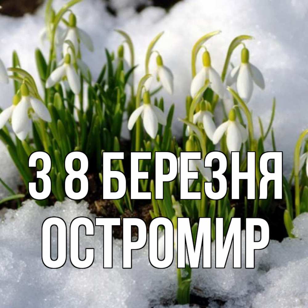 Открытка на каждый день з підписом, Остромир З 8 БЕРЕЗНЯ цветы весенние Прикольна листівка з побажанням онлайн скачати безкоштовно 