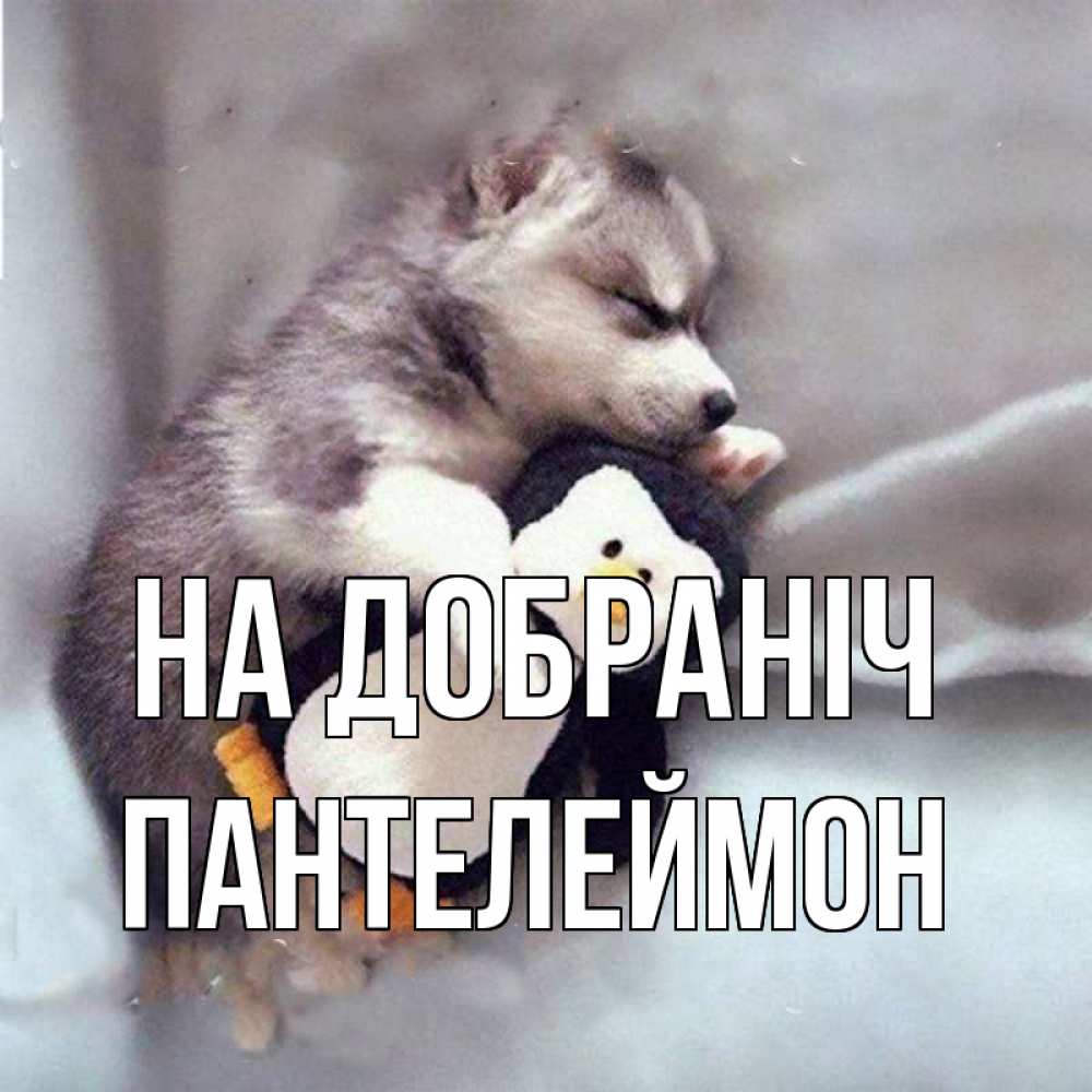 Открытка на каждый день з підписом, Пантелеймон На добраніч обнимашки щенка и пингвина Прикольна листівка з побажанням онлайн скачати безкоштовно 