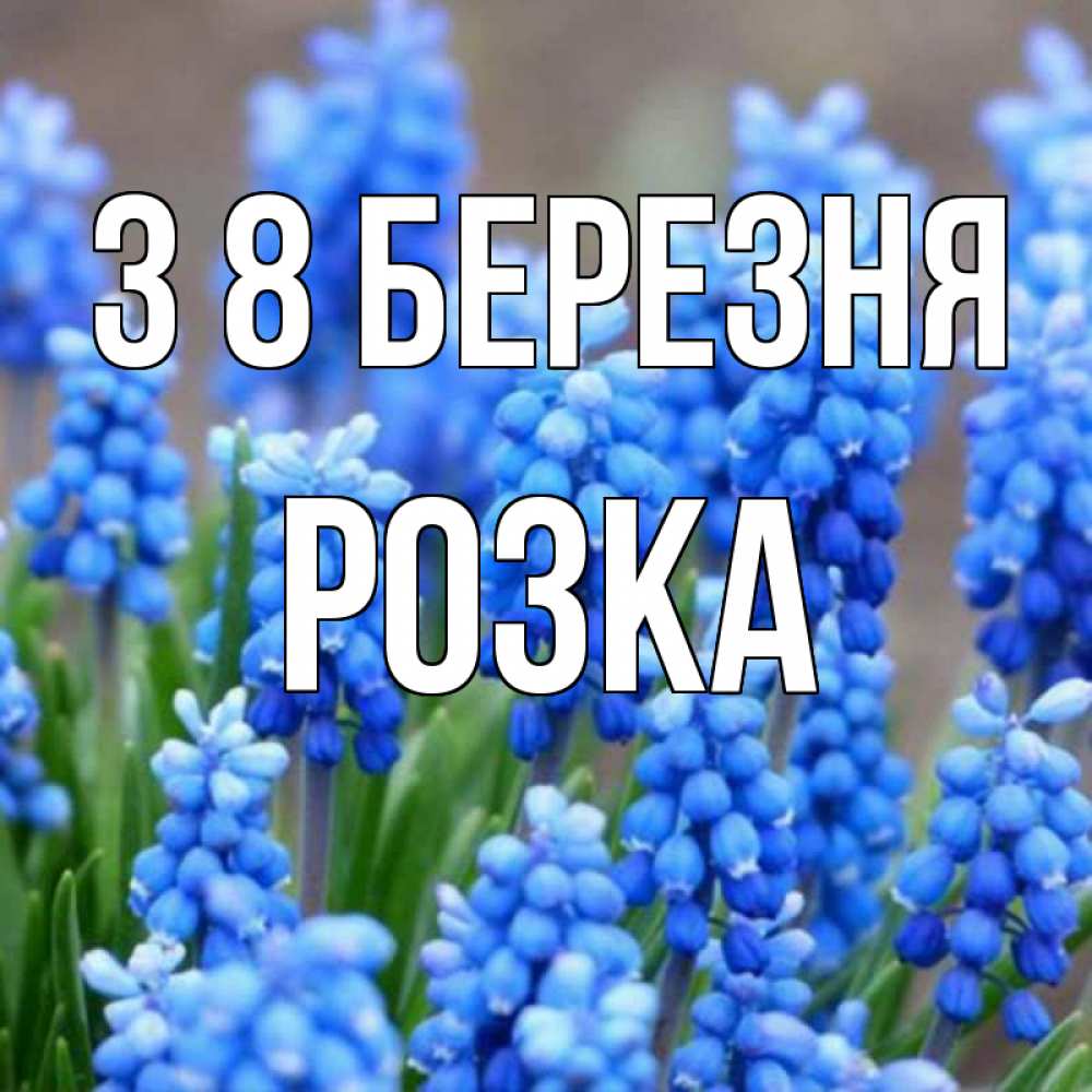 Открытка на каждый день з підписом, Розка З 8 БЕРЕЗНЯ Поздравительная открытка для женщин с цветами на праздничную дату Прикольна листівка з побажанням онлайн скачати безкоштовно 
