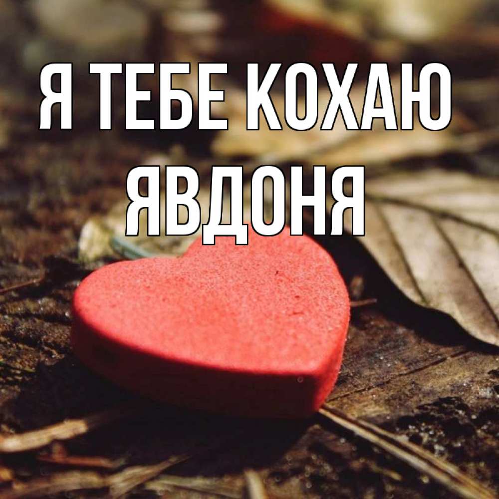 Открытка на каждый день з підписом, Явдоня Я тебе кохаю листья деревье 4 Прикольна листівка з побажанням онлайн скачати безкоштовно 