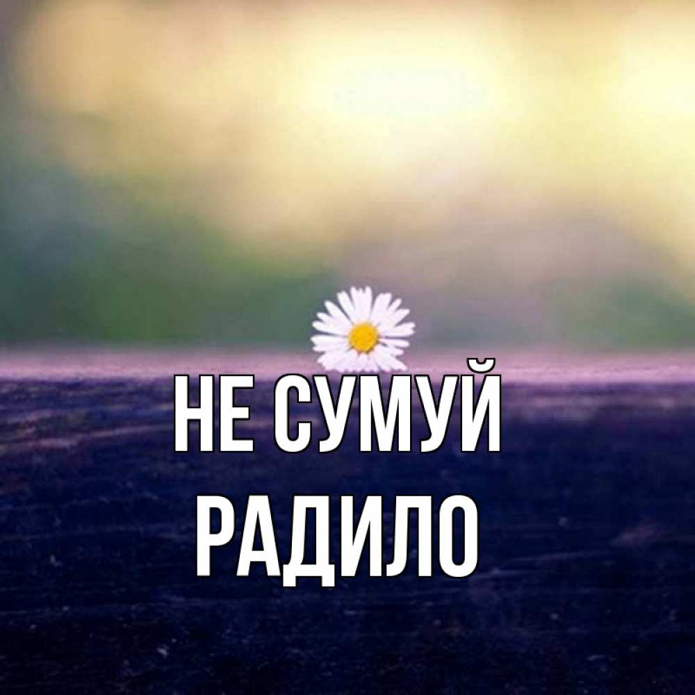 Открытка на каждый день з підписом, Радило Не сумуй красота Прикольна листівка з побажанням онлайн скачати безкоштовно 