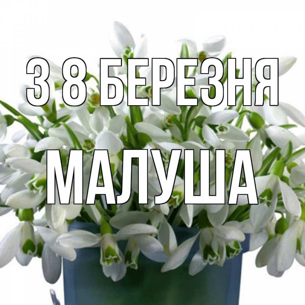 Открытка на каждый день з підписом, Малуша З 8 БЕРЕЗНЯ цветы к международному женскому дню Прикольна листівка з побажанням онлайн скачати безкоштовно 