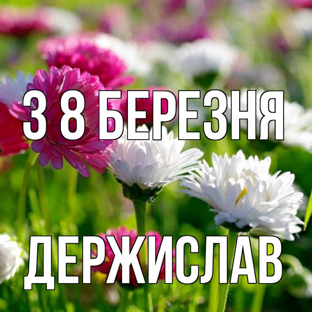 Открытка на каждый день з підписом, Держислав З 8 БЕРЕЗНЯ международный женский день 1 Прикольна листівка з побажанням онлайн скачати безкоштовно 