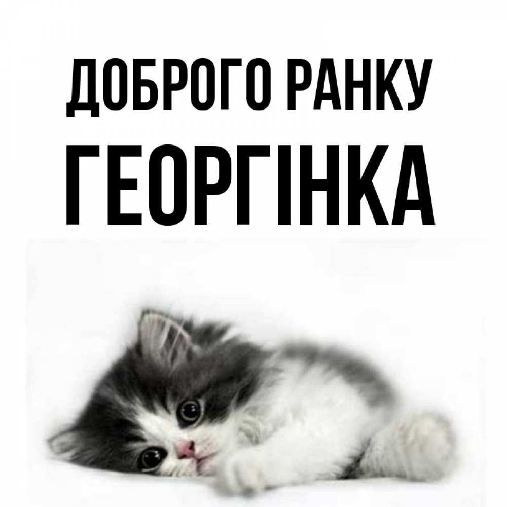 Открытка на каждый день з підписом, Георгінка Доброго ранку кот лапки Прикольна листівка з побажанням онлайн скачати безкоштовно 