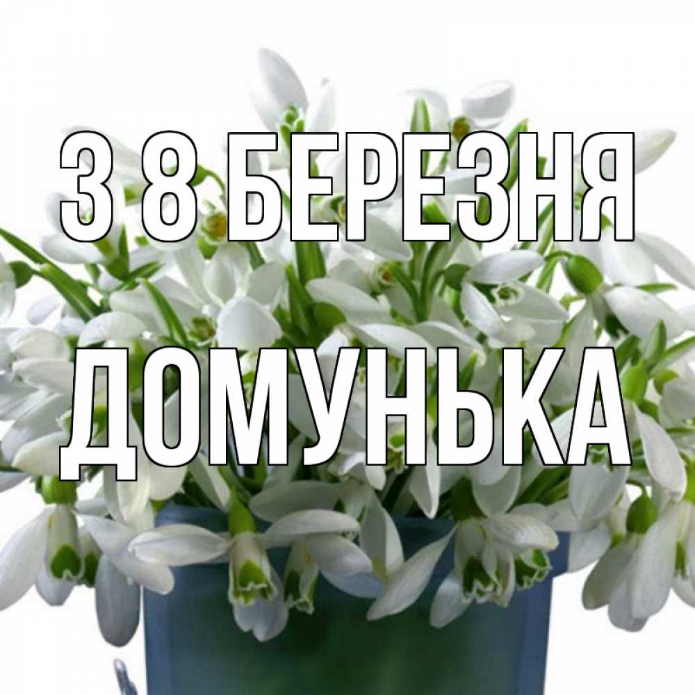Открытка на каждый день з підписом, Домунька З 8 БЕРЕЗНЯ цветы к международному женскому дню Прикольна листівка з побажанням онлайн скачати безкоштовно 