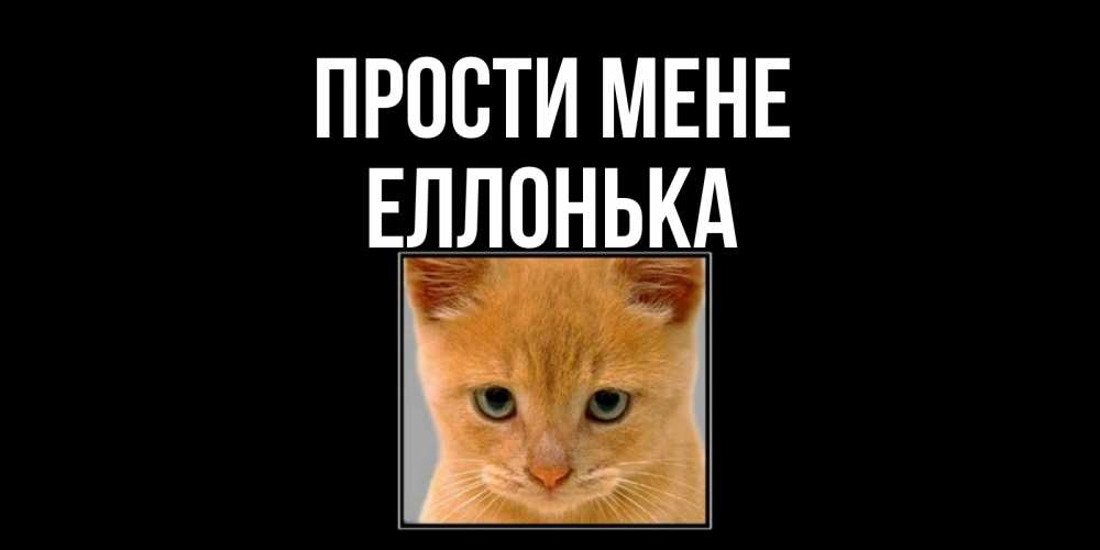 Открытка на каждый день з підписом, Еллонька Прости мене рыжий грустный кот просит прощения Прикольна листівка з побажанням онлайн скачати безкоштовно 