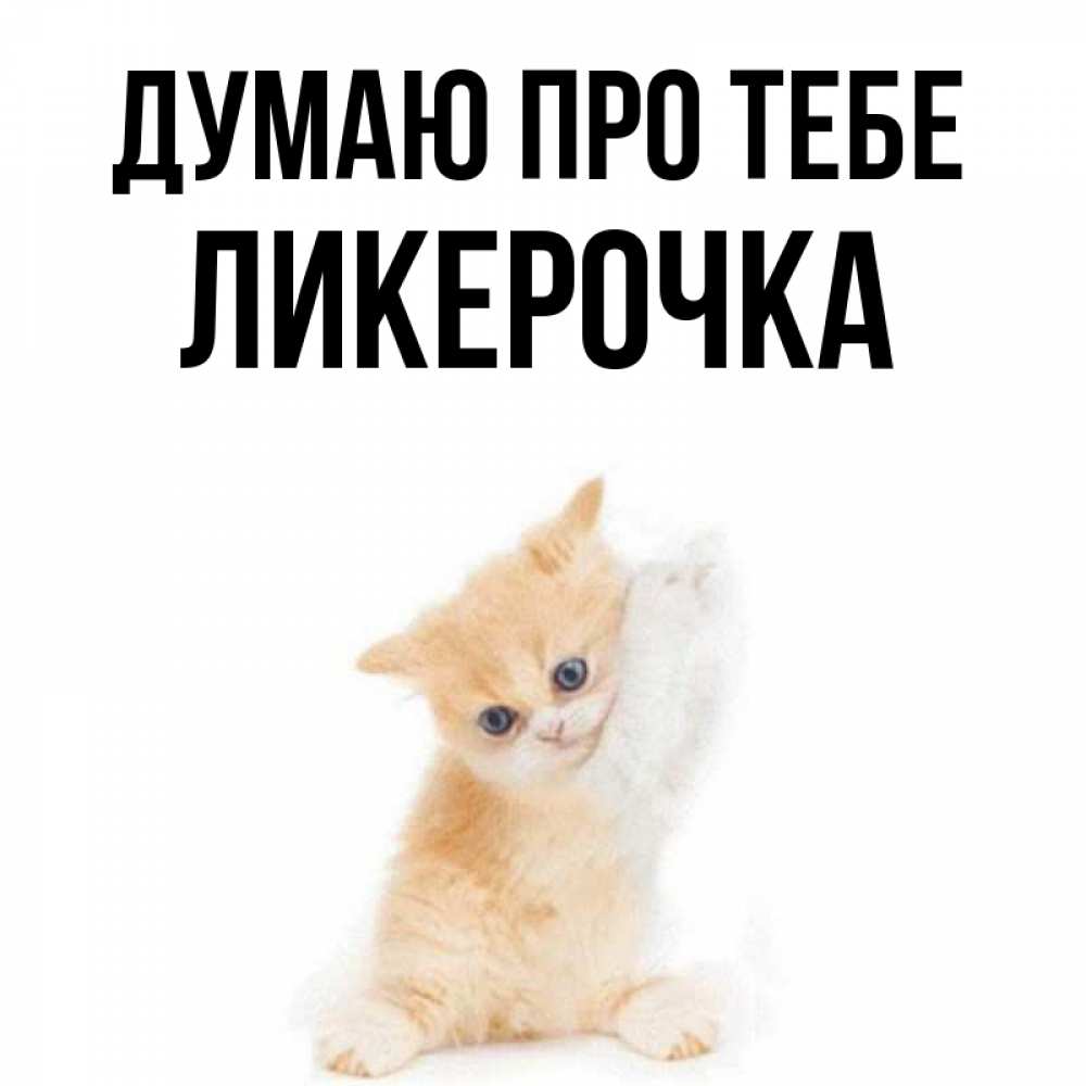 Открытка на каждый день з підписом, Ликерочка Думаю про тебе зверушки и милота Прикольна листівка з побажанням онлайн скачати безкоштовно 