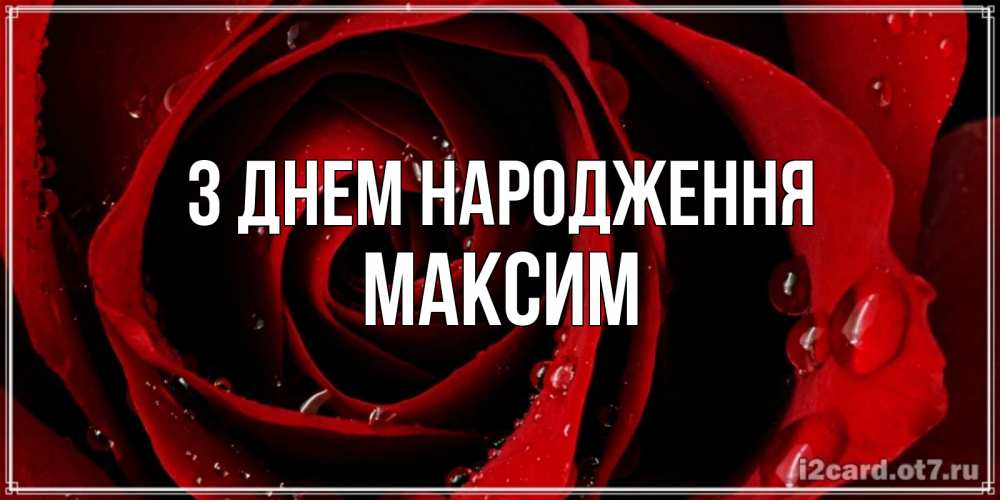 Открытка на каждый день з підписом, Максим З Днем народження крупная бордовая роза Прикольна листівка з побажанням онлайн скачати безкоштовно 