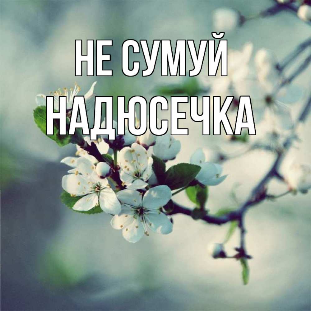 Открытка на каждый день з підписом, Надюсечка Не сумуй яблоня в цвету 1 Прикольна листівка з побажанням онлайн скачати безкоштовно 
