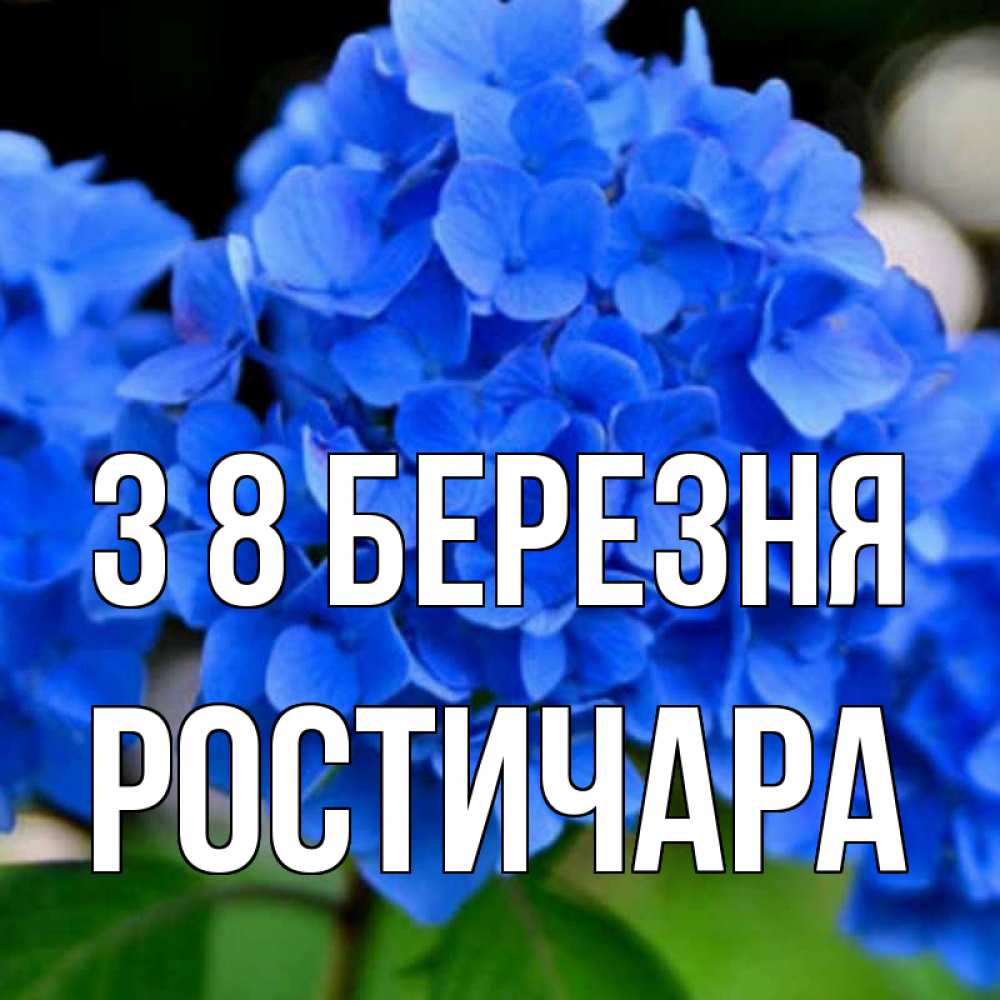 Открытка на каждый день з підписом, Ростичара З 8 БЕРЕЗНЯ синие цветы Прикольна листівка з побажанням онлайн скачати безкоштовно 