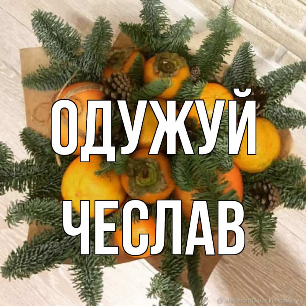 Открытка на каждый день з підписом, Чеслав Одужуй апельсины и хурьма Прикольна листівка з побажанням онлайн скачати безкоштовно 