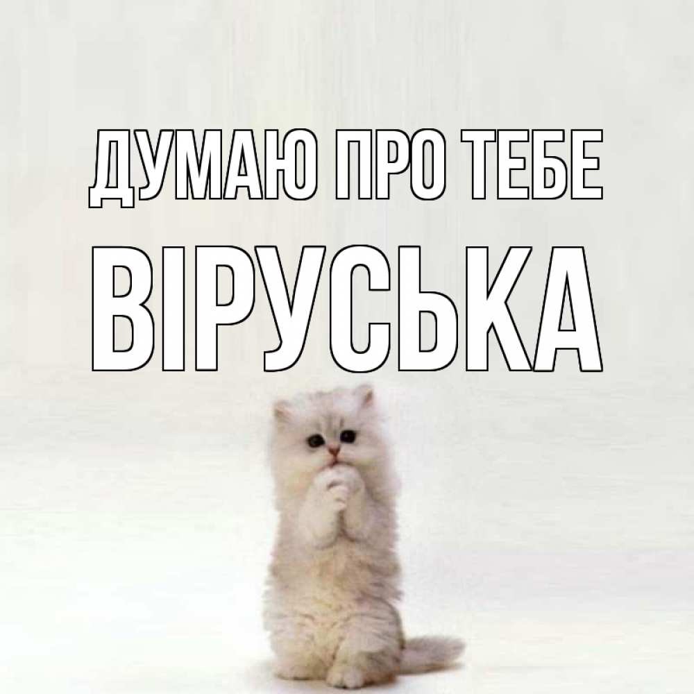 Открытка на каждый день з підписом, Віруська Думаю про тебе кот стоит на задних лапах Прикольна листівка з побажанням онлайн скачати безкоштовно 