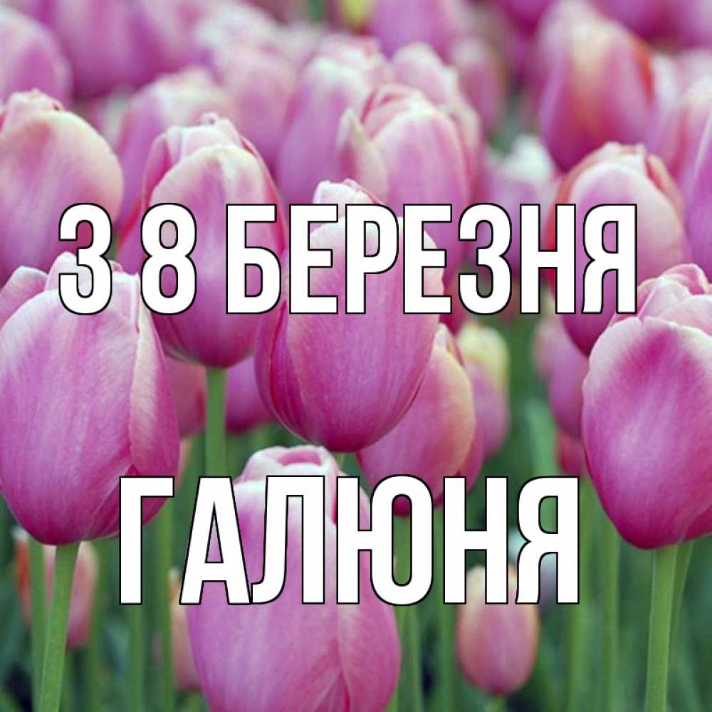 Открытка на каждый день з підписом, Галюня З 8 БЕРЕЗНЯ на международный женский день 3 Прикольна листівка з побажанням онлайн скачати безкоштовно 