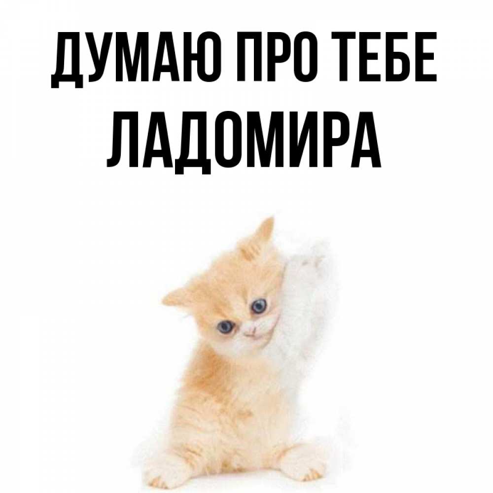 Открытка на каждый день з підписом, Ладомира Думаю про тебе зверушки и милота Прикольна листівка з побажанням онлайн скачати безкоштовно 