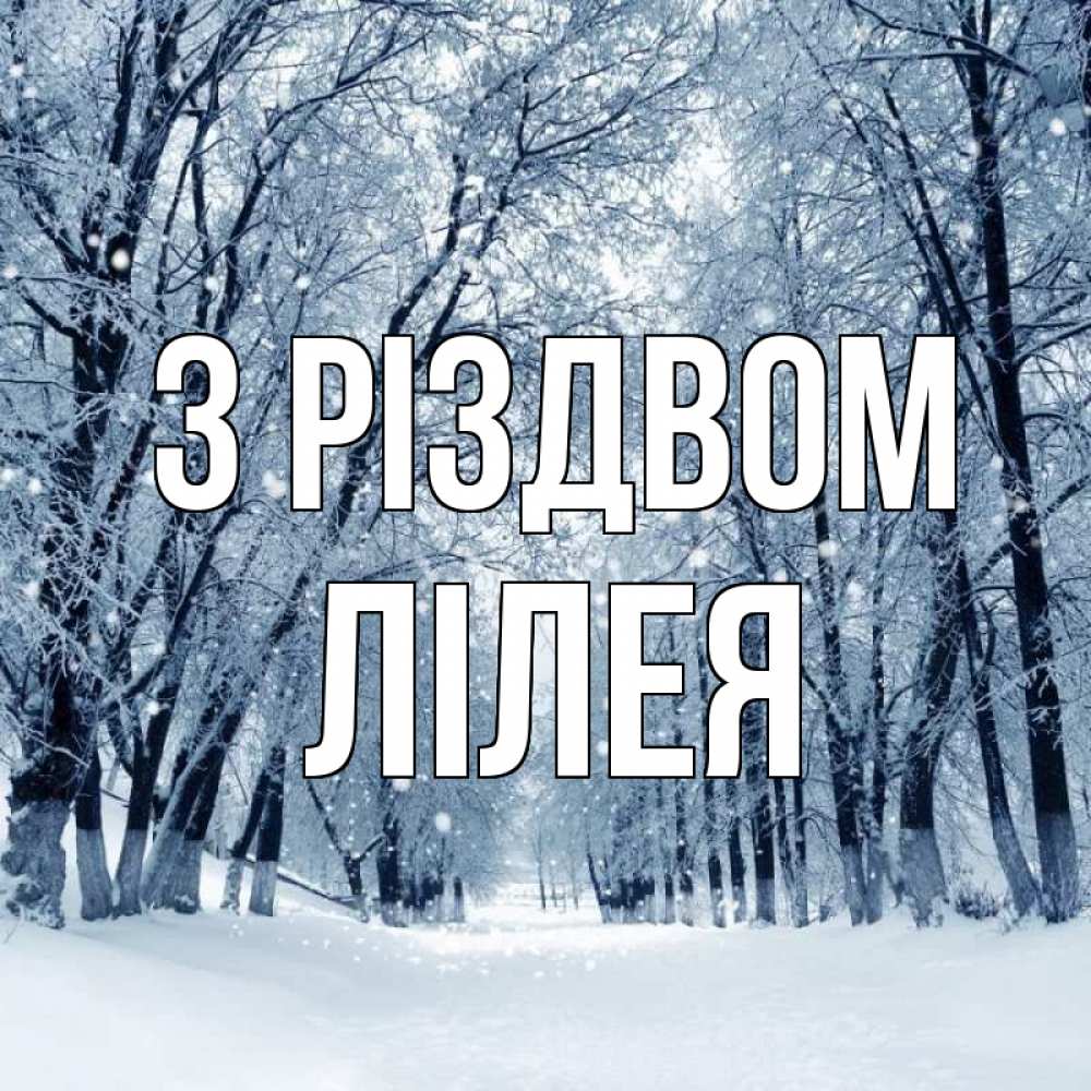 Открытка на каждый день з підписом, Лілея З Різдвом снег, лес, парк Прикольна листівка з побажанням онлайн скачати безкоштовно 