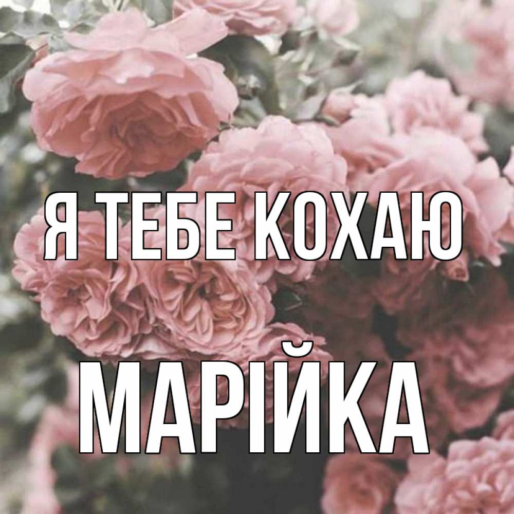 Открытка на каждый день з підписом, Марійка Я тебе кохаю розы 3 Прикольна листівка з побажанням онлайн скачати безкоштовно 