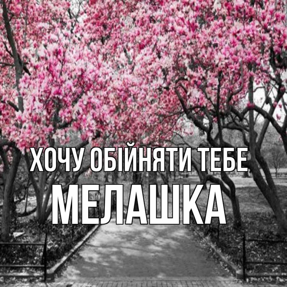 Открытка на каждый день з підписом, Мелашка Хочу обійняти тебе обработанное фото Прикольна листівка з побажанням онлайн скачати безкоштовно 