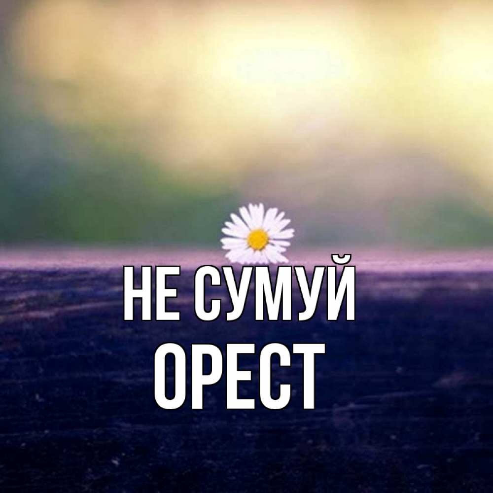 Открытка на каждый день з підписом, Орест Не сумуй красота Прикольна листівка з побажанням онлайн скачати безкоштовно 