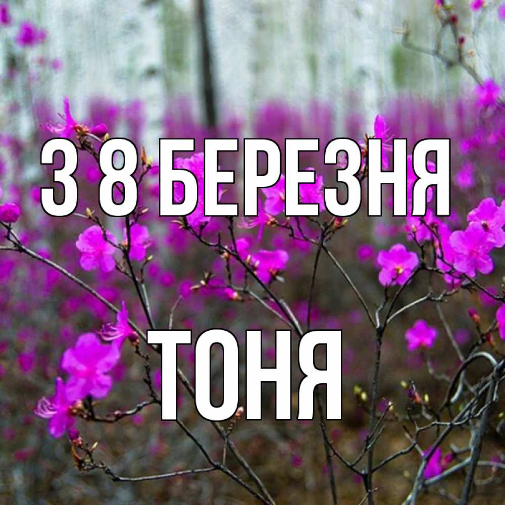 Открытка на каждый день з підписом, Тоня З 8 БЕРЕЗНЯ дикие цветы Прикольна листівка з побажанням онлайн скачати безкоштовно 