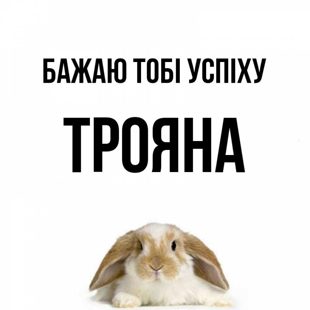 Открытка на каждый день з підписом, Трояна Бажаю тобі успіху открытки с произвольным текстом который можно вставить в открытку и создать ее самостоятельно бесплатно онлайн Прикольна листівка з побажанням онлайн скачати безкоштовно 