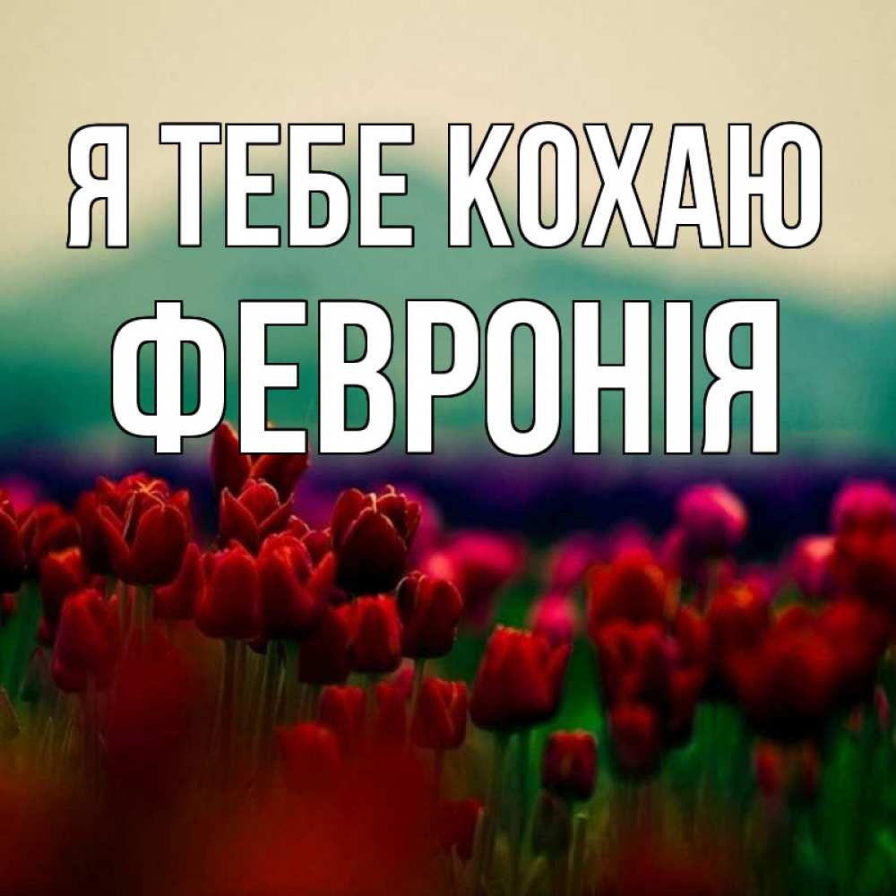 Открытка на каждый день з підписом, Февронія Я тебе кохаю тюльпаны 4 Прикольна листівка з побажанням онлайн скачати безкоштовно 