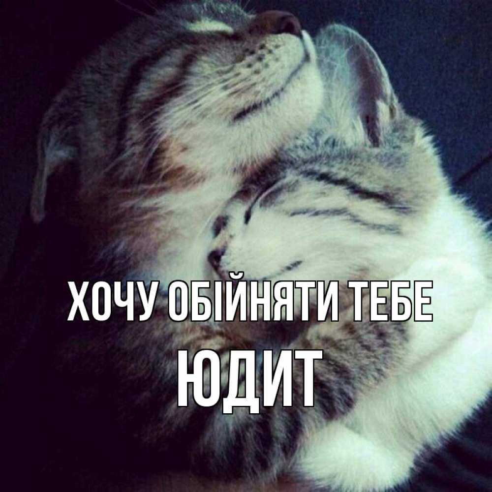 Открытка на каждый день з підписом, Юдит Хочу обійняти тебе полосатики Прикольна листівка з побажанням онлайн скачати безкоштовно 