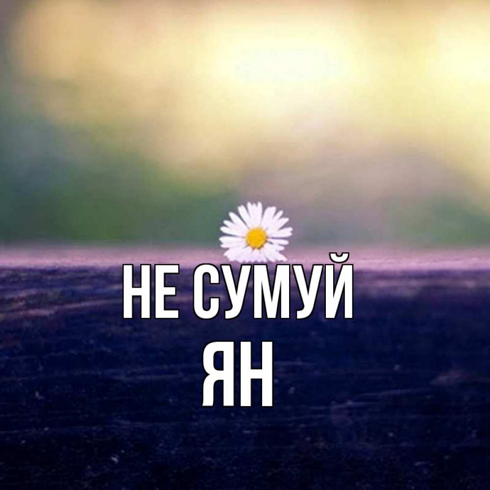 Открытка на каждый день з підписом, Ян Не сумуй красота Прикольна листівка з побажанням онлайн скачати безкоштовно 