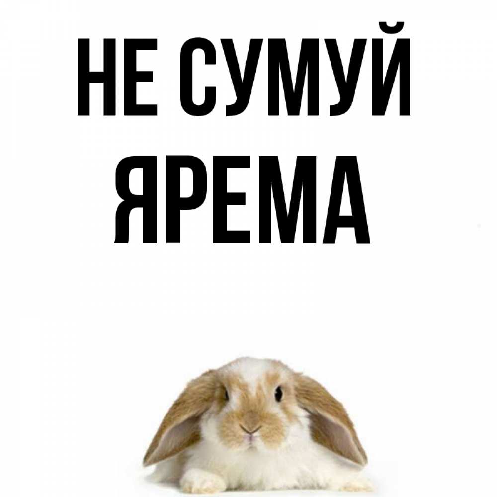 Открытка на каждый день з підписом, Ярема Не сумуй коричнево белый заяц с большими ушками Прикольна листівка з побажанням онлайн скачати безкоштовно 