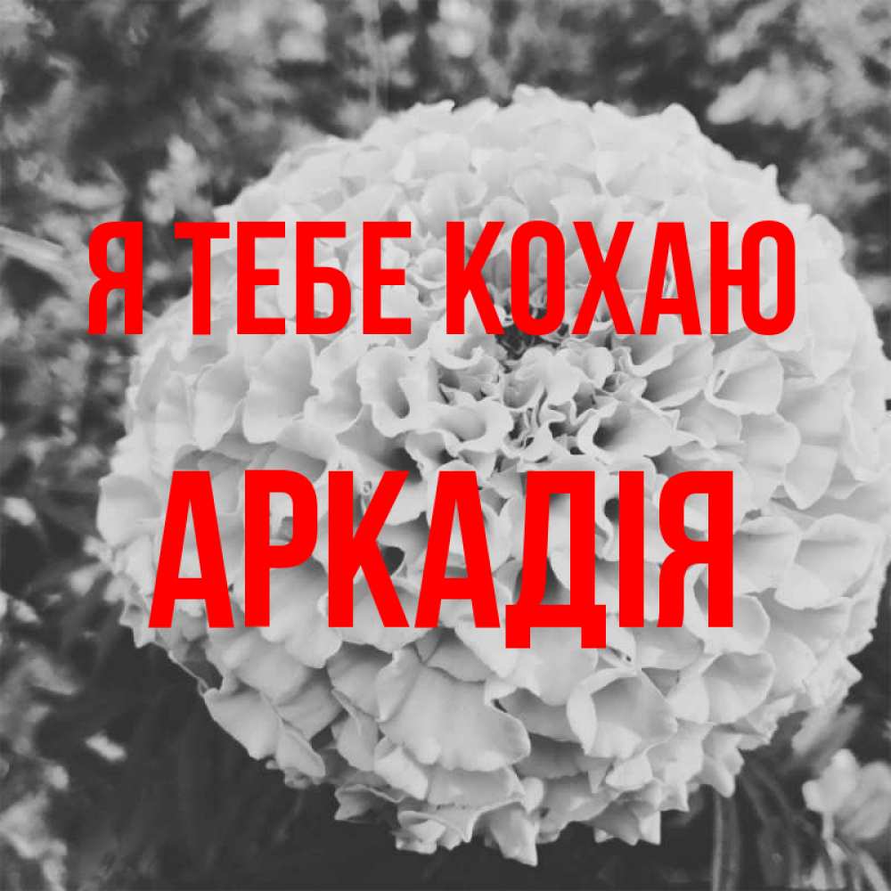 Открытка на каждый день з підписом, Аркадія Я тебе кохаю подпись Прикольна листівка з побажанням онлайн скачати безкоштовно 