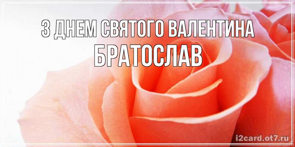 Открытка на каждый день з підписом, Братослав З Днем Святого Валентина открытка на день Святого Валентина с розовой розой Прикольна листівка з побажанням онлайн скачати безкоштовно 