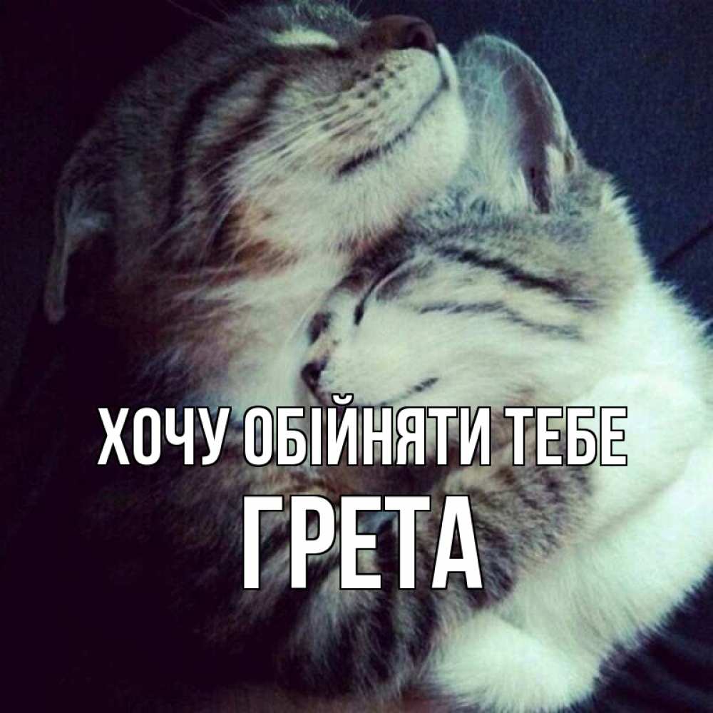 Открытка на каждый день з підписом, Грета Хочу обійняти тебе полосатики Прикольна листівка з побажанням онлайн скачати безкоштовно 