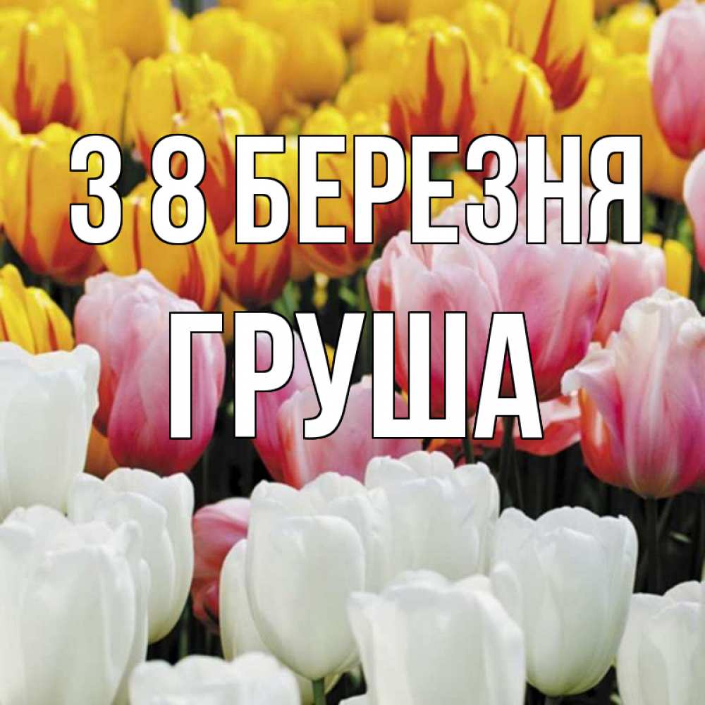 Открытка на каждый день з підписом, Груша З 8 БЕРЕЗНЯ разноцветные цветы Прикольна листівка з побажанням онлайн скачати безкоштовно 