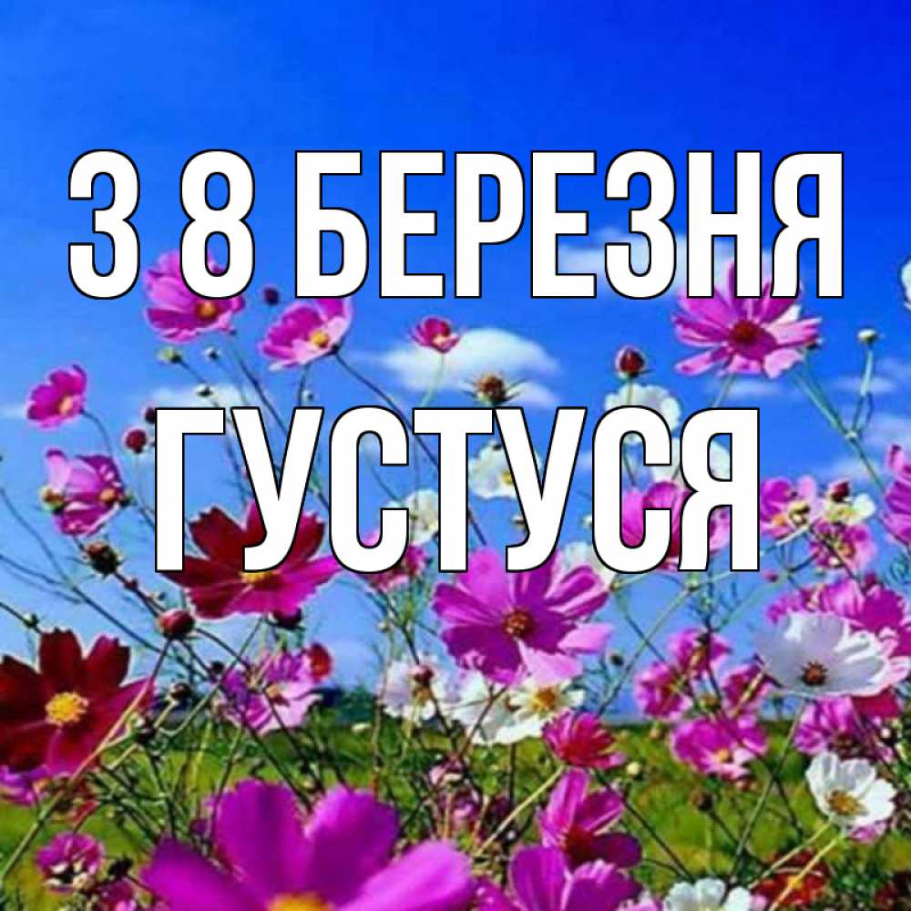 Открытка на каждый день з підписом, Густуся З 8 БЕРЕЗНЯ цветы Прикольна листівка з побажанням онлайн скачати безкоштовно 