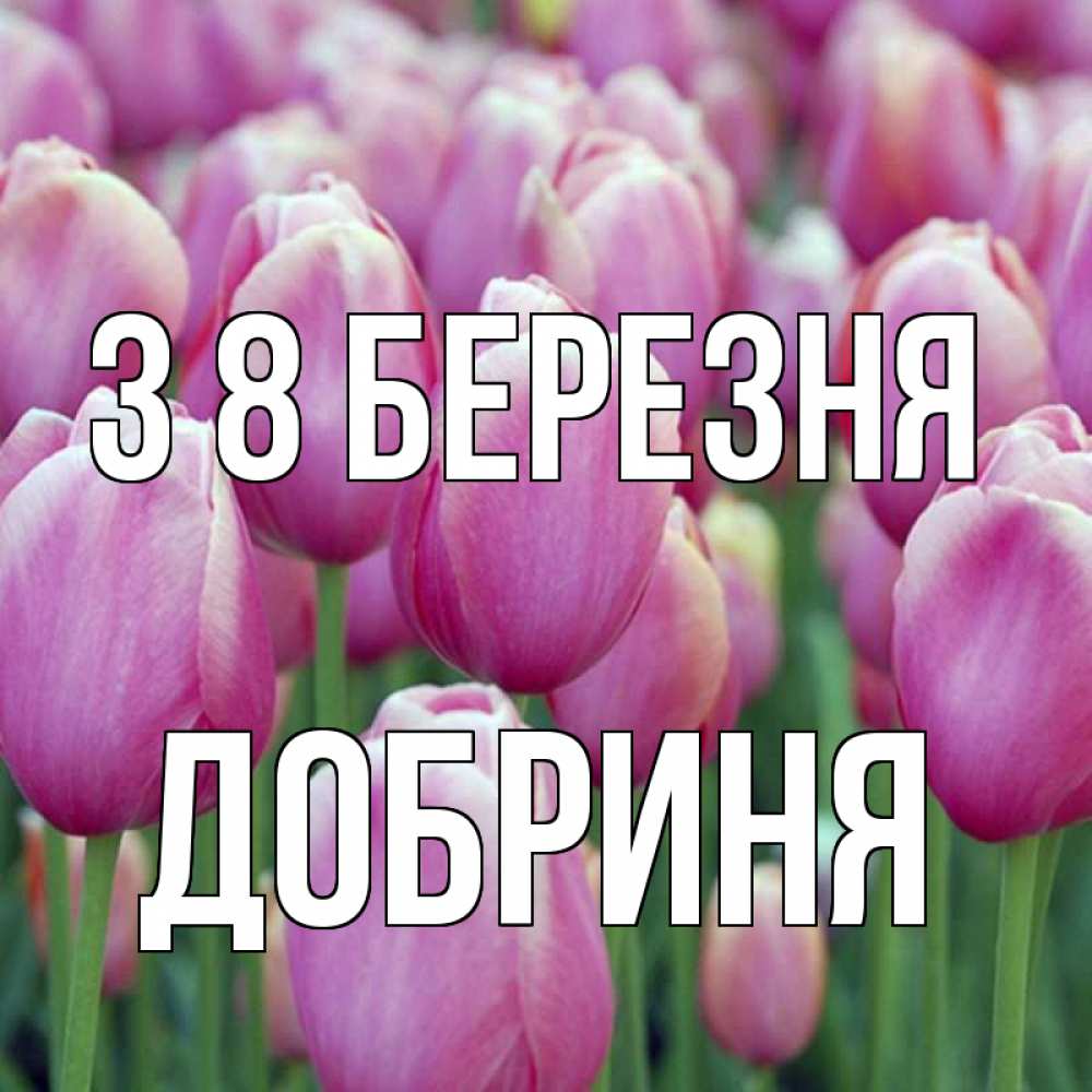 Открытка на каждый день з підписом, Добриня З 8 БЕРЕЗНЯ на международный женский день 3 Прикольна листівка з побажанням онлайн скачати безкоштовно 