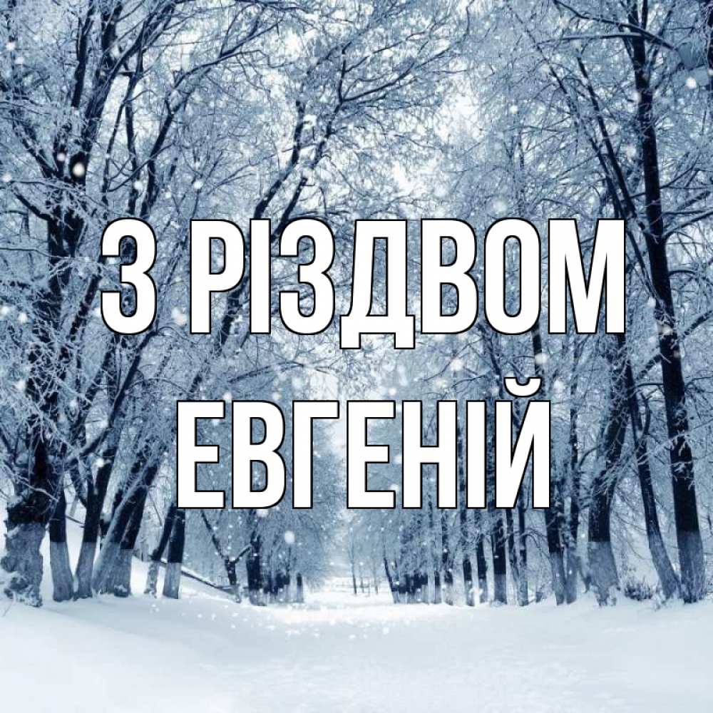 Открытка на каждый день з підписом, Евгеній З Різдвом снег, лес, парк Прикольна листівка з побажанням онлайн скачати безкоштовно 