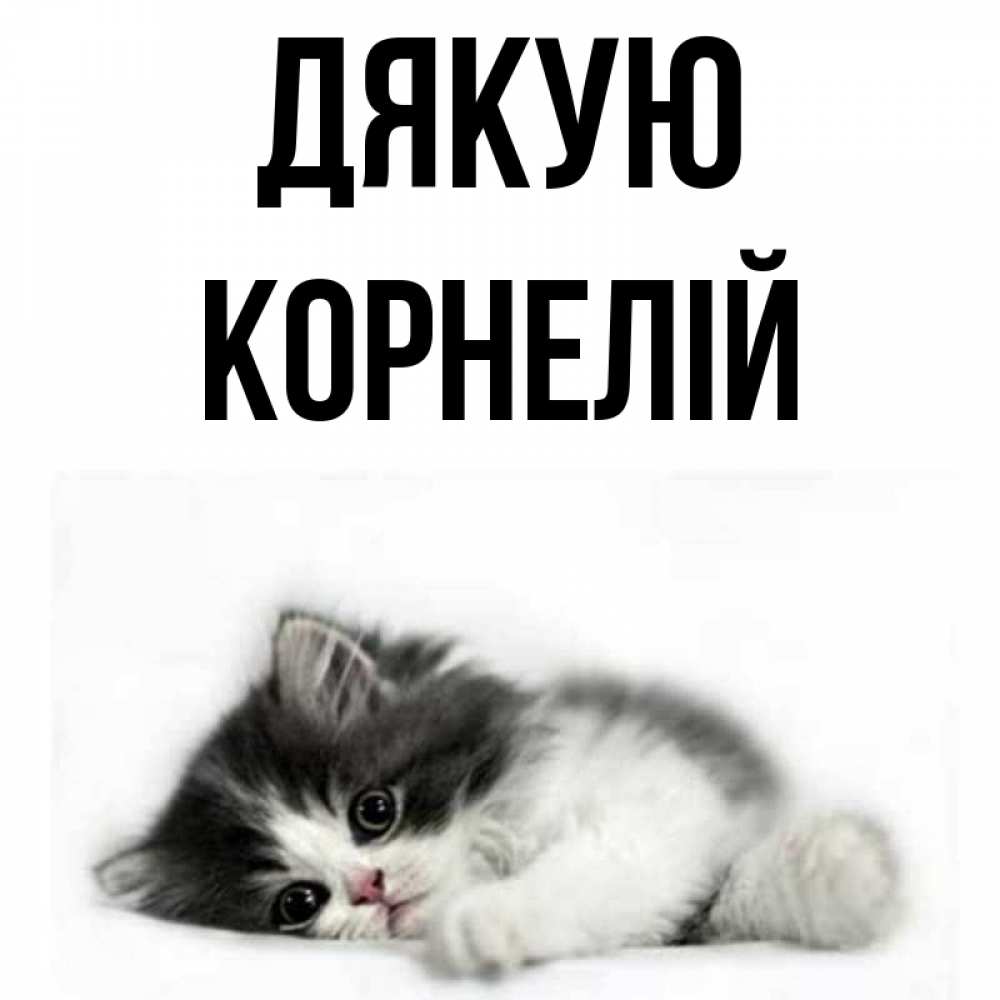 Открытка на каждый день з підписом, Корнелій Дякую черный и белый кот Прикольна листівка з побажанням онлайн скачати безкоштовно 