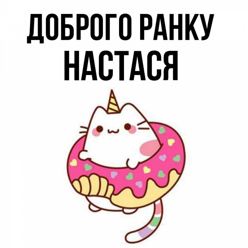 Открытка на каждый день з підписом, Настася Доброго ранку кот в бублике Прикольна листівка з побажанням онлайн скачати безкоштовно 