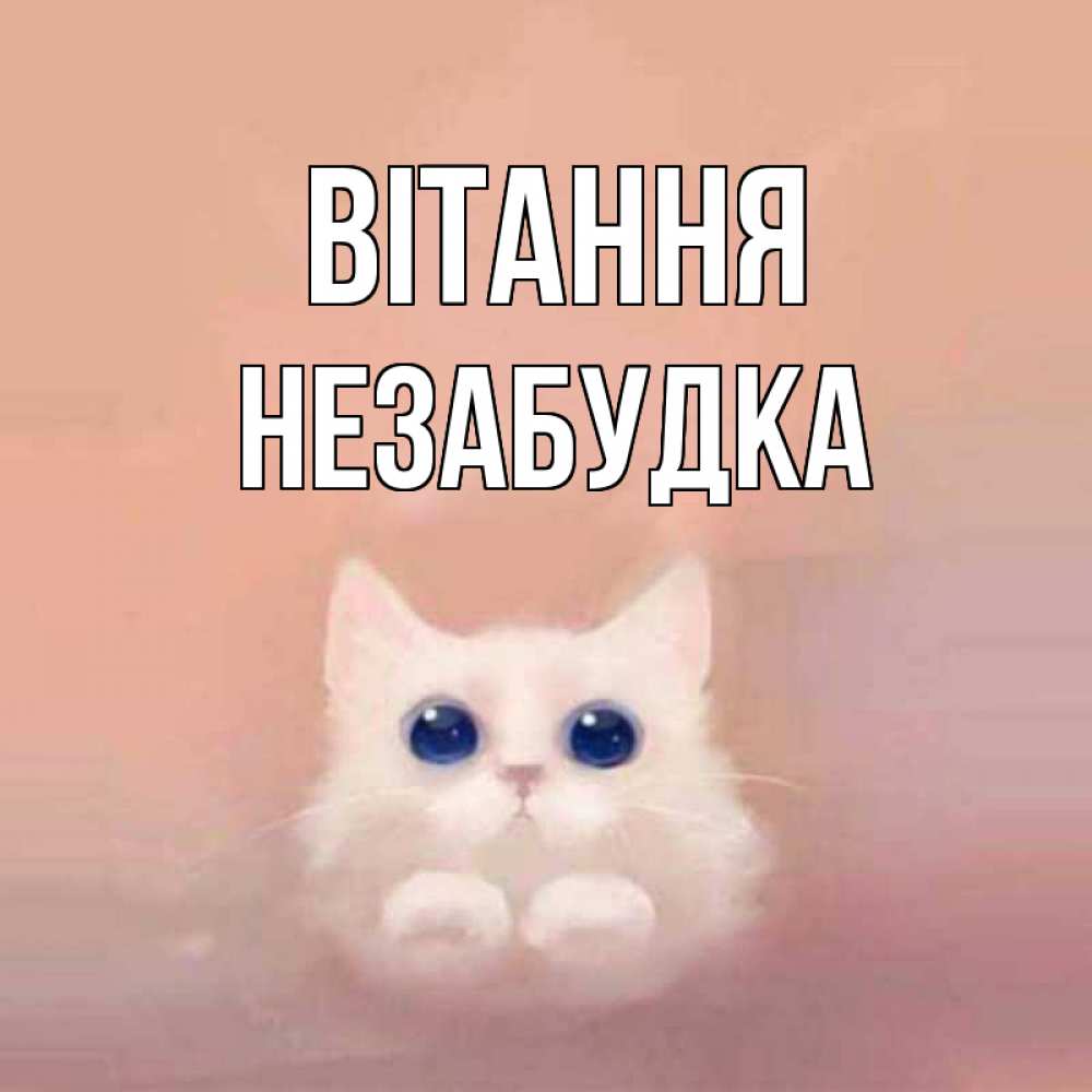 Открытка на каждый день з підписом, Незабудка Вітання котик белый в полете Прикольна листівка з побажанням онлайн скачати безкоштовно 