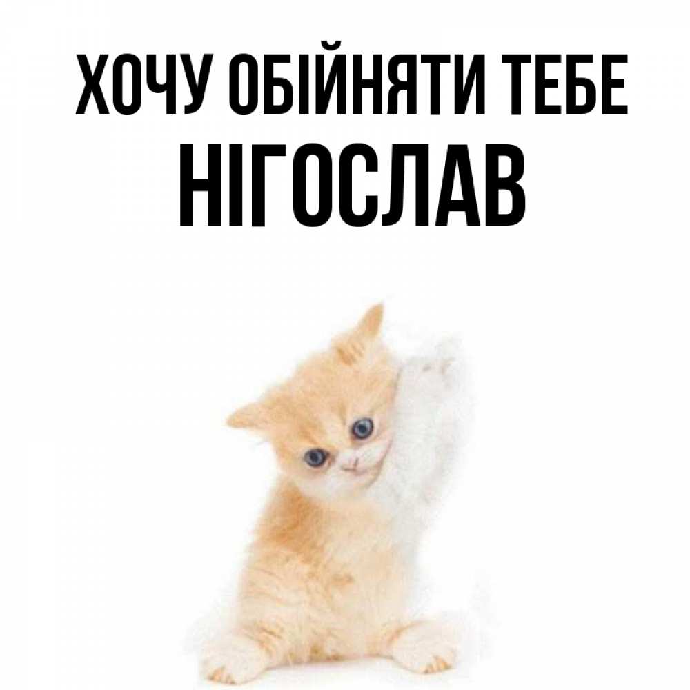 Открытка на каждый день з підписом, Нігослав Хочу обійняти тебе я хочу очень скорее обнимаешек Прикольна листівка з побажанням онлайн скачати безкоштовно 