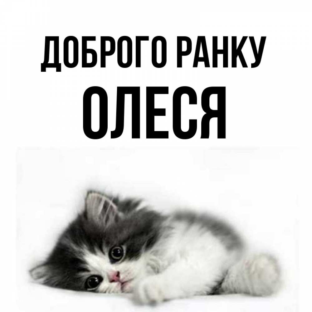 Открытка на каждый день з підписом, Олеся Доброго ранку кот лапки Прикольна листівка з побажанням онлайн скачати безкоштовно 