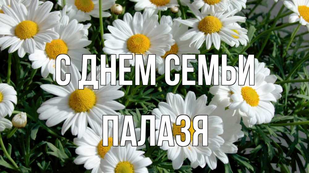 Открытка на каждый день з підписом, Палазя С днем семьи с днем семьи Прикольна листівка з побажанням онлайн скачати безкоштовно 