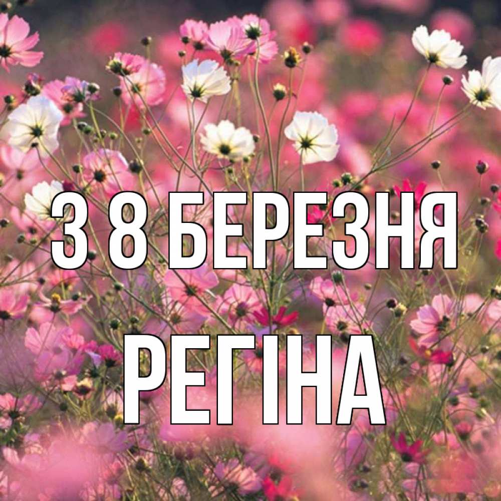 Открытка на каждый день з підписом, Регіна З 8 БЕРЕЗНЯ красиво 1 Прикольна листівка з побажанням онлайн скачати безкоштовно 