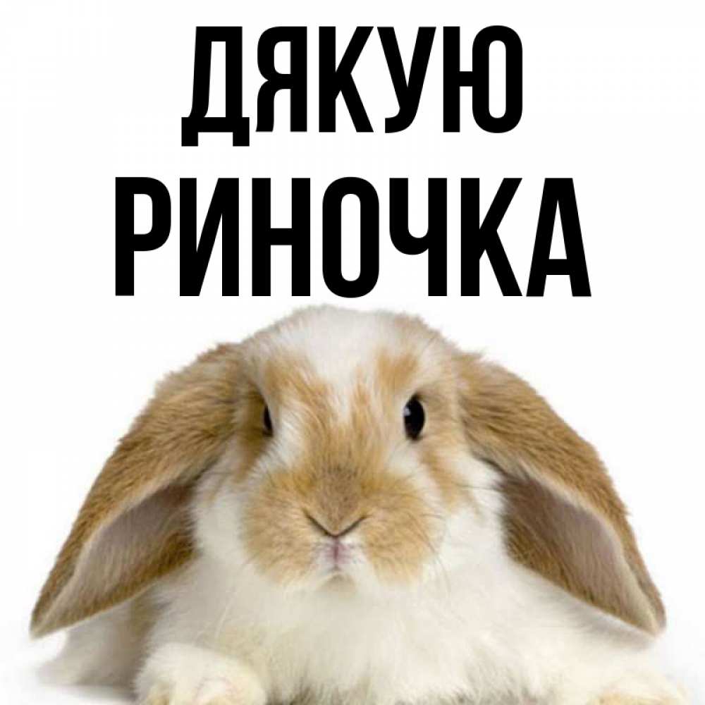 Открытка на каждый день з підписом, Риночка Дякую коричнево белый заяц Прикольна листівка з побажанням онлайн скачати безкоштовно 