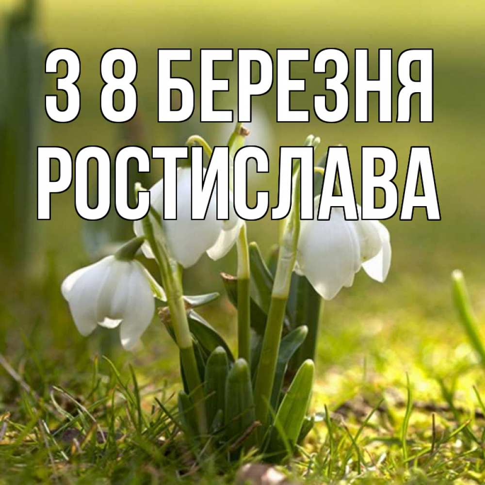 Открытка на каждый день з підписом, Ростислава З 8 БЕРЕЗНЯ ранние цветы 2 Прикольна листівка з побажанням онлайн скачати безкоштовно 