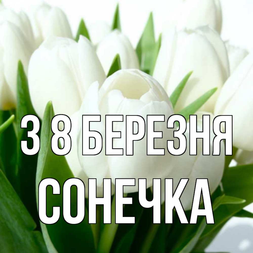 Открытка на каждый день з підписом, Сонечка З 8 БЕРЕЗНЯ цветы Прикольна листівка з побажанням онлайн скачати безкоштовно 