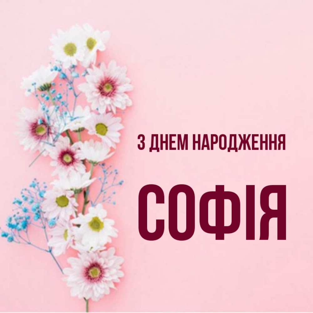 Открытка на каждый день з підписом, Софія З Днем народження Родная моя с днем рождения тебя картинка с цветами белыми и голубыми Прикольна листівка з побажанням онлайн скачати безкоштовно 