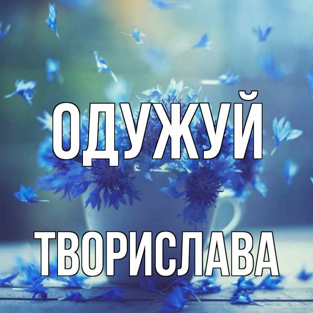 Открытка на каждый день з підписом, Творислава Одужуй кружка с зельем и цветами Прикольна листівка з побажанням онлайн скачати безкоштовно 