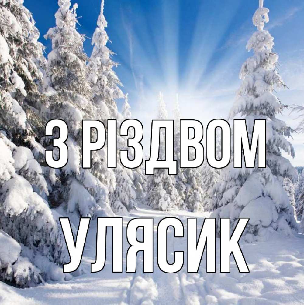 Открытка на каждый день з підписом, Улясик З Різдвом зима, лес Прикольна листівка з побажанням онлайн скачати безкоштовно 