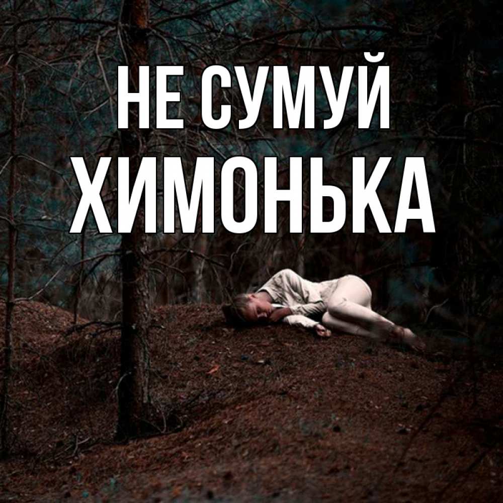 Открытка на каждый день з підписом, Химонька Не сумуй лес Прикольна листівка з побажанням онлайн скачати безкоштовно 